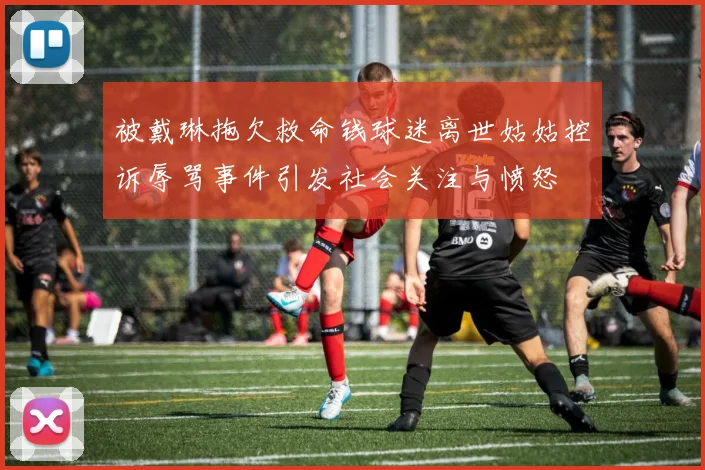 被戴琳拖欠救命钱球迷离世姑姑控诉辱骂事件引发社会关注与愤怒