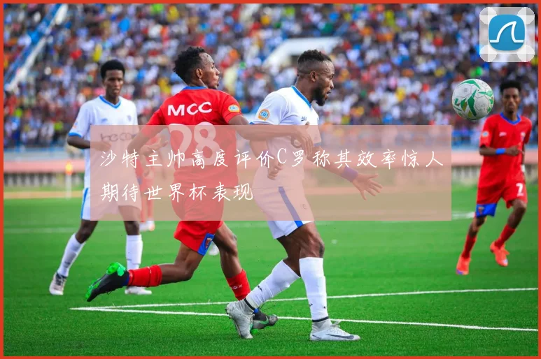 沙特主帅高度评价C罗称其效率惊人期待世界杯表现
